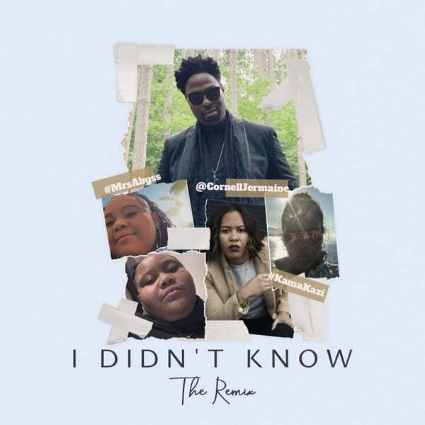 Cover art for I Didn't Know (Remix)